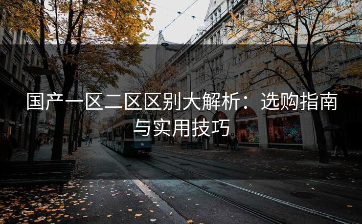 国产一区二区区别大解析：选购指南与实用技巧